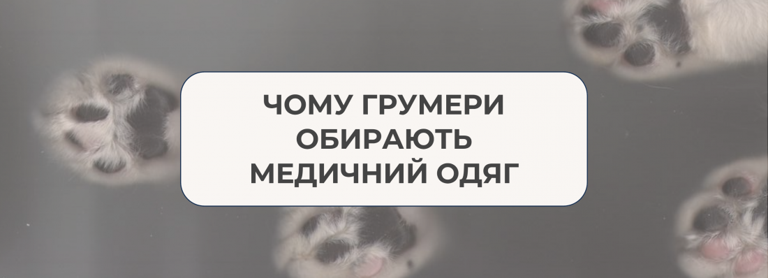 Чому грумери обирають медичний одяг