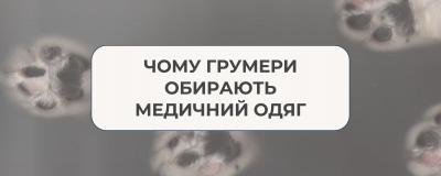 Чому грумери обирають медичний одяг