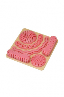 Тренажер для хірурга SD 15 - фото